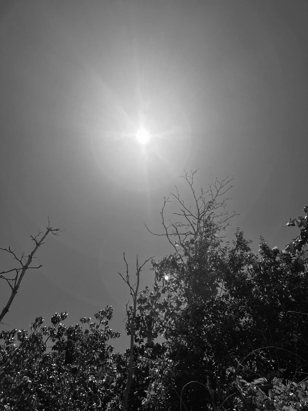 Disfrútate el proceso