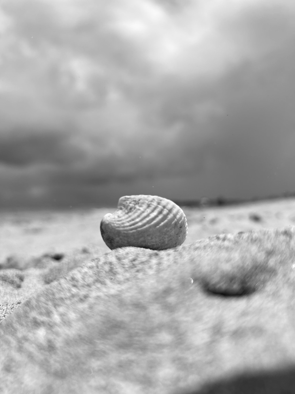 Poseer ya no está de moda