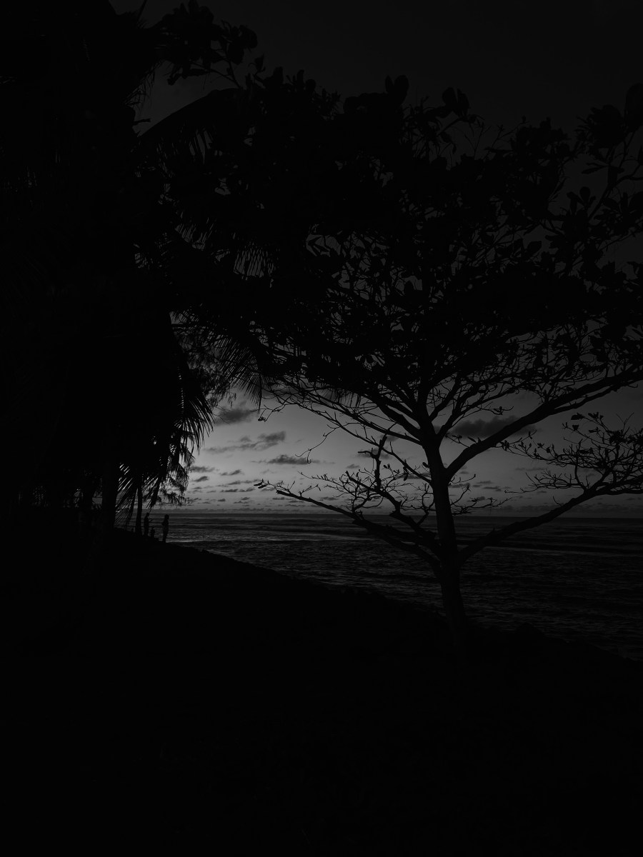 Celebremos la conexión